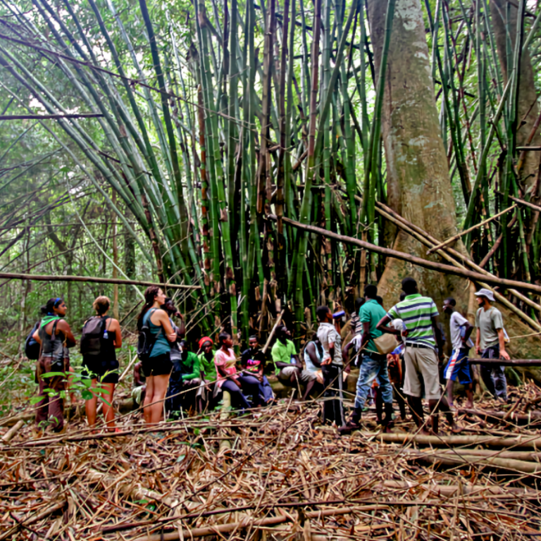cape-three-points-forest-reserve