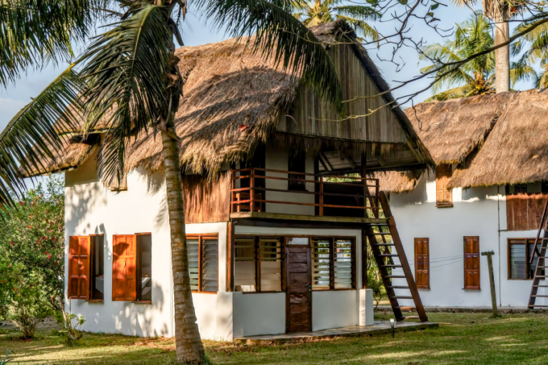 almond-side-view-close-exterior