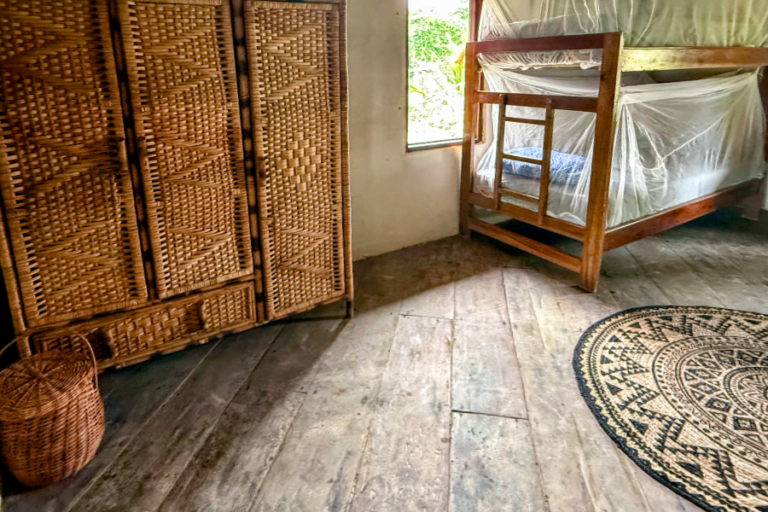 family-interior-window-bunk-bed