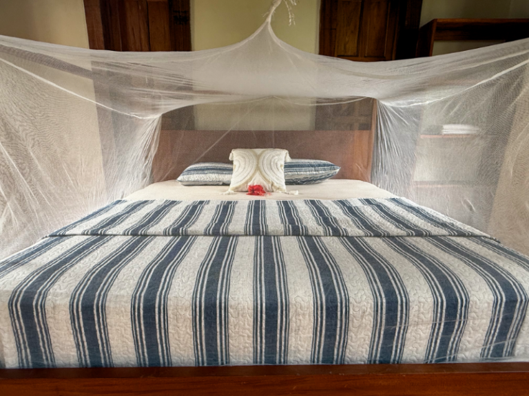 family-master-bed-mosquito